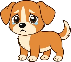Sad puppy