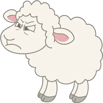 Grumpy sheep